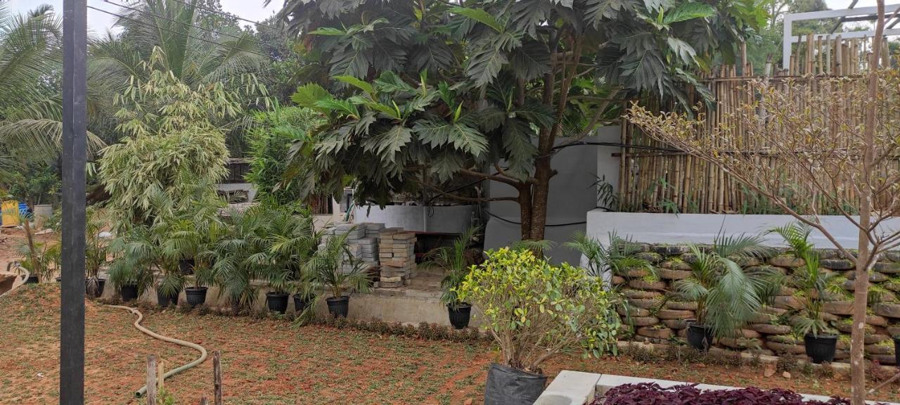 Pepper Valley Resort Kalpetta Exterior photo